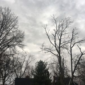 Meet your Posher, Cordella